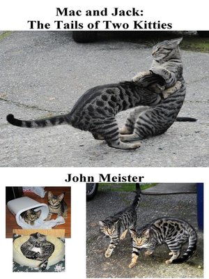 cover image of Mac and Jack